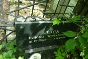 Лось Блюма Исааковна, Москва, Востряковское кладбище